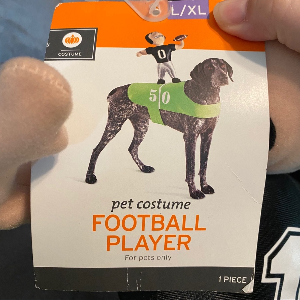 Football player dog costume